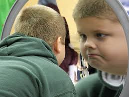 Science & Engineering Festival at Gull Lake High School kicks off 'Year of  Science'