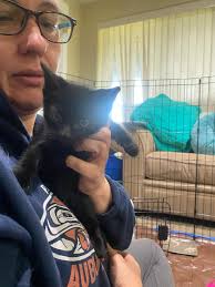 The Octonauts can't tackle this new set of worldwide challenges alone!  Captain Barnacles has assembled a new team of experts & adventurers: The  Octo-Agents! These agents are positioned all over the world