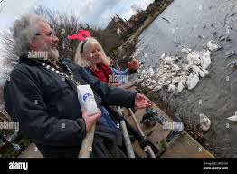 Adrian swan hi-res stock photography and images