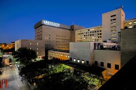 Image result for Louisiana State University