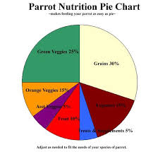 Parrot Nutrition Pie Chart Diet Chart Parrot Galah Cockatoo