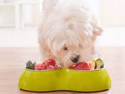 Making healthy food and drink choices is key to managing diabetes. How To Make Dog Food At Home
