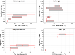 Image result for Afroligusticum