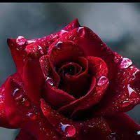 Minerva Salazar Blanco