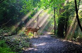 Nadia Mena (@Nadiamena)