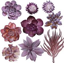 Pink or purple succulent flowers. Amazon Com Tiita Small Artificial Succulent Plants Fake Faux Succulents Plants Floral For Garden Wedding Home Decor Different Size Different Type Unpotted Textured Succulents For Diy 9pcs Purple Flowers Kitchen Dining