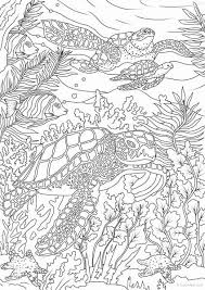 Pin On Best Animal Coloring Pages
