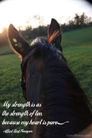 Pin On Horse Quotes