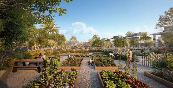 Emaar The Valley Projects: Complete Guide to Communities and Developments