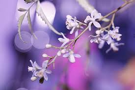 Pin On Natural Picture