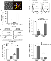 What is the effect of a hypertonic solution on cells. Frontiers Human Peritoneal Mesothelial Cell Death Induced By High Glucose Hypertonic Solution Involves Ca2 And Na Ions And Oxidative Stress With The Participation Of Pkc Nox2 And Pi3k Akt Pathways Physiology