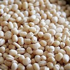 9 Months Organic Whole Urad Dal Rs 75 Kg Ars Traders Id 22135400512