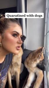 Dogs in Quarantine: A Day in the Life