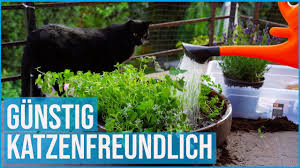 Mit diesen fünf einfachen tipps machen sie ihren garten katzensicher und vertreiben streunende katzen aus dem garten. Balkon Un Professionell Katzensicher Machen Ohne Bohren Youtube