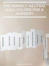 White dove wasn't too yellow, gray, blue, or pink & that was even better. Modern Farmhouse Paint Colors For Walls Wall Paint Colors White Paint Colors Nursery Paint Colors