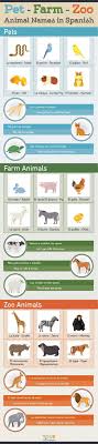 Animal Names In Spanish