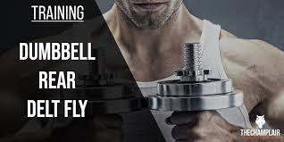 We did not find results for: How To Do Dumbbell Rear Delt Fly 2021 Fitness Guide