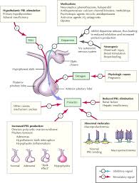 Image result for Hyperprolactinemia