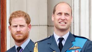 The duke of cambridge is the son of prince charles and the late princess diana. Prince Harry And Prince William S Relationship Fractured 20 Years Ago Claims Royal Reporter Masala Com