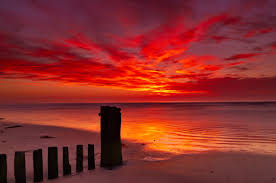 Image result for sunrise pictures on the beach