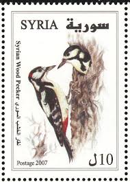 syrian woodpecker stamps mainly images gallery format vintage postage stamps bird stamp stamp