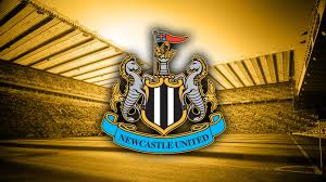 Image result for newcastle united logo