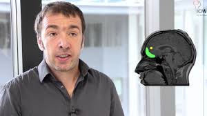 Let's Talk : Pourquoi procrastine-t-on ?