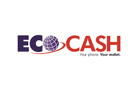 Ecocash Charges Further Slashed The Chronicle