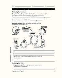 Genetic Engineering Lesson Plans Worksheets Lesson Planet