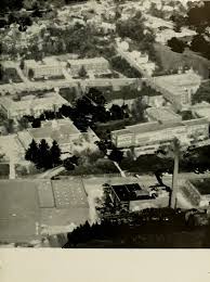 The Rhododendron [serial]