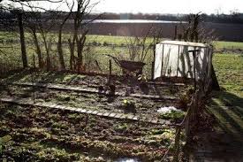 Want to start a vegetable garden? Winter Prep For Vegetable Gardens Tips On Preparing A Vegetable Garden For Winter