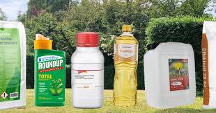 Image result for site:byggahus.se virus