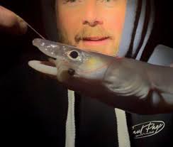 Fished down by the imperial last night, it was absolutely howling when I  got there and I did question whether to go home or not 🤷🏼 but I got set  up and