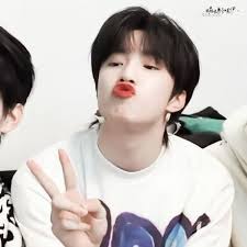 Hang Phung (hang3386)