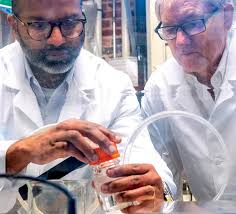 York College Magazine 2024 Vol. 1 by York College of Pennsylvania