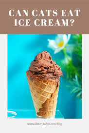 Can cat's eat ice cream? Litter Robot July Is National Ice Cream Month Naturally If You Indulge In This Creamy Sweet Treat From Time To Time You May Have Wondered Can Cats Eat Ice Cream Unfortunately