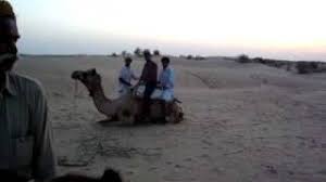 Follow me on ig theclevertraveler & www.theclevertraveler.net. Camel Standing Up Youtube