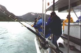 Valdez is famous for some of the best fishing in the world, but to make the most of it, you'll need help from an experienced guide. Fishing Derbies In Valdez Alaska