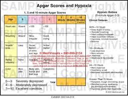 apgar score chart related keywords suggestions apgar