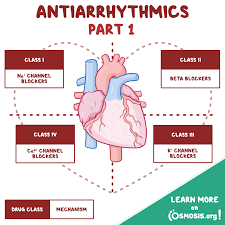 Image result for Antiarrhythmic