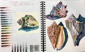 If you're following along, you'll also need a few other supplies, including gummed craft paper tape, a smooth, clean board slightly larger than your. Testing Out Derwent Water Soluble Graphitint Pencils Watercolor