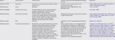 Image result for Bridelia atroviridis