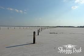 Great salt plains state park crystal digging. Crystal Digging Begins April 1 Enid Buzz