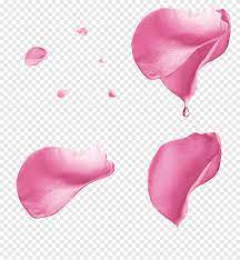 Rose Petal Pink Rose Petal Floating Material Pink Rose Petals Blue Heart Png Rose Petals Drawing Red And Pink Roses Rose Flower Arrangements