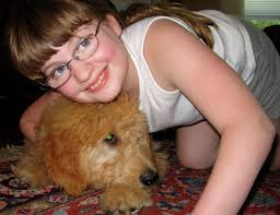 Did your dog make the list of most popular breeds in U.S.?