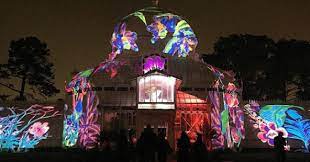Maybe you would like to learn more about one of these? Conservatory Of Flowers Summer Of Love Show Extends Into Fall Update Curbed Sf
