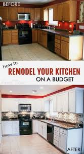 Most Kitchen Renovations Are Very Expensive But This Trick Can Make Your Kitchen Look Brand Kitchen Remodeling Projects Kitchen Renovation Kitchen On A Budget