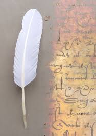 Un cadeau idéal, un souvenir et une méthode authentique pour pratiquer l'art de la calligraphie. Plume De Dinde Pompadour Le Calligraphe Po300 Lecalligraphe Com Articles Calligraphie Ecriture Et Enluminure Plumes Encres Papiers