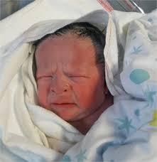 Necrologi Preganziol, TV