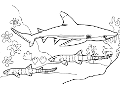 Blue Shark Coloring Sheet Blue Shark Eats Small Fish And Squid Babies Are Called Pups Groups Are Shark Coloring Pages Shark Pictures Ocean Coloring Pages